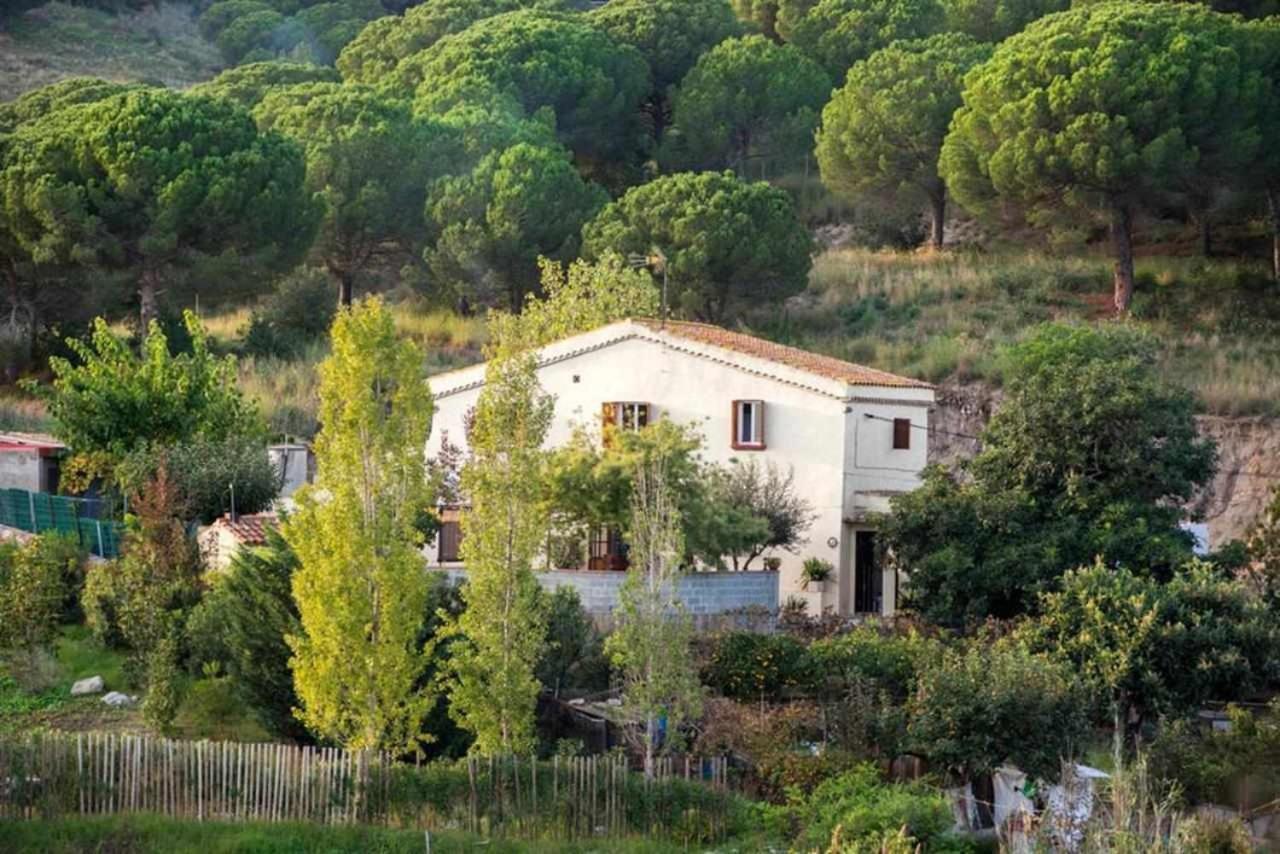 Masia Can Tramontana Affittacamere Tiana Esterno foto